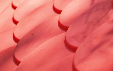 Bower plastic roof costs