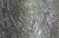 Bower fibreglass roof work