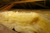 Bower pitch roof insulation